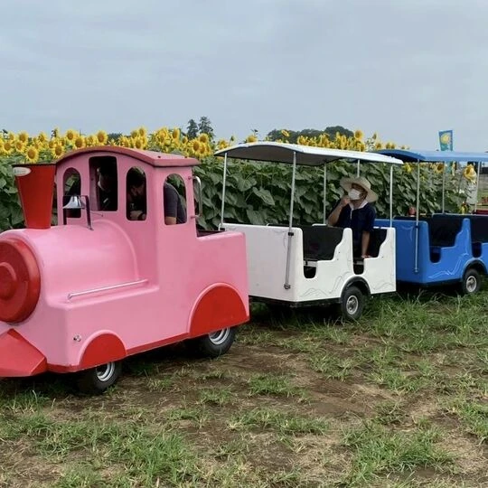 画像1415：キッズ用の汽車型自動車の運用